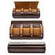 luxury watch box